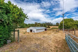 426 King Rd, Petaluma, CA 94952 - Photo 75