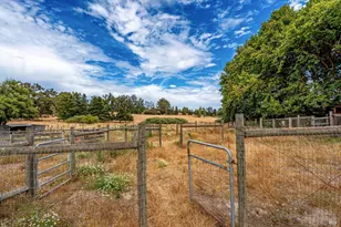 426 King Rd, Petaluma, CA 94952 - Photo 83