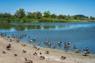 1142 Redwood Blvd, Novato, CA 94947 - Photo 51