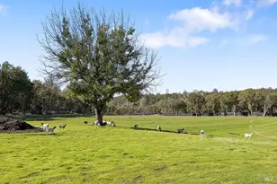 2050 Ogulin Canyon Rd, Clearlake, CA 95422 - Photo 27