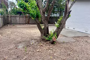 604 Vendola St, San Rafael, CA 94903 - Photo 31
