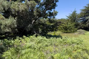 41889 Leeward Rd, The Sea Ranch, CA 95497 - Photo 1