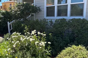 236 S Humboldt St, Willits, CA 95490 - Photo 5