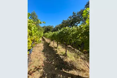 109 Glass Mountain Lane, Saint Helena, CA 94574 - Photo 51