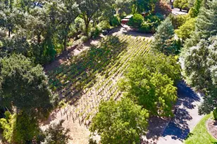 109 Glass Mountain Ln, Saint Helena, CA 94574 - Photo 69