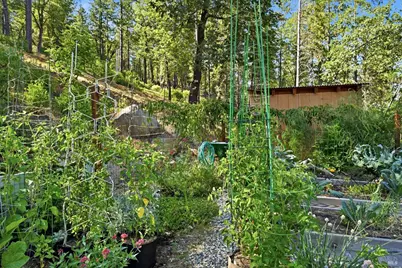 11240 Loch Lomond Road, Middletown, CA 95461 - Photo 39