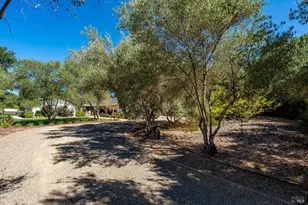 1054 Olive Hill Ln, Napa, CA 94558 - Photo 3