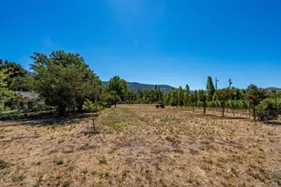 1054 Olive Hill Ln, Napa, CA 94558 - Photo 59