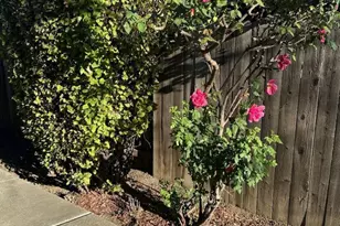 2515 Dover Ave, Fairfield, CA 94533 - Photo 21