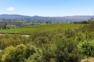 1024 Loma Vista Dr, Napa, CA 94558 - Photo 5