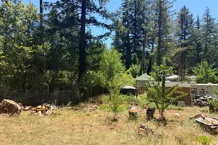65341 Hwy 271, Leggett, CA 95585 - Photo 17