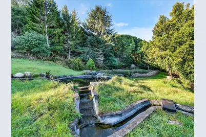 20 Redwood Avenue, Inverness, CA 94937 - Photo 9