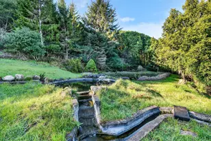 20 Redwood Ave, Inverness, CA 94937 - Photo 9