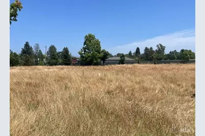 1225 Hwy 116, Sebastopol, CA 95472 - Photo 7