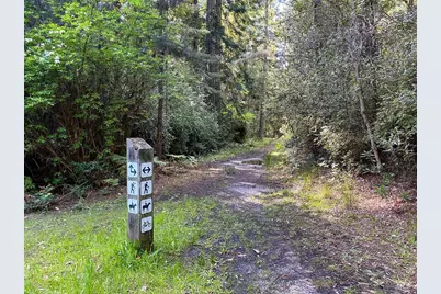 357 Deerfield Road, The Sea Ranch, CA 95497 - Photo 61