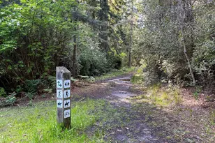 357 Deerfield Rd, The Sea Ranch, CA 95497 - Photo 61