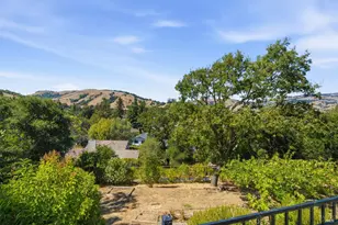 13 Sutro Ct, Novato, CA 94947 - Photo 41