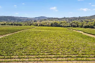 4980 Dry Creek Rd, Healdsburg, CA 95448 - Photo 21