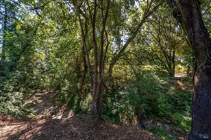 1240 Arroyo Sarco Way, Napa, CA 94558 - Photo 73