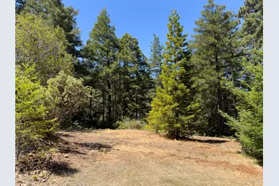 33416 Iversen Road, Gualala, CA 95445 - Photo 45