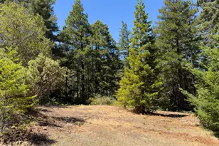 33416 Iversen Rd, Gualala, CA 95445 - Photo 45