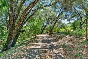 10560 Anderson Valley Way, Boonville, CA 95415 - Photo 57