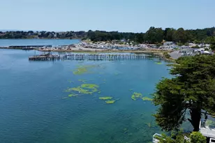 1165 Hwy 1, Bodega Bay, CA 94923 - Photo 35