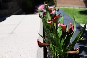 25 Sereno Pl, Vallejo, CA 94589 - Photo 79
