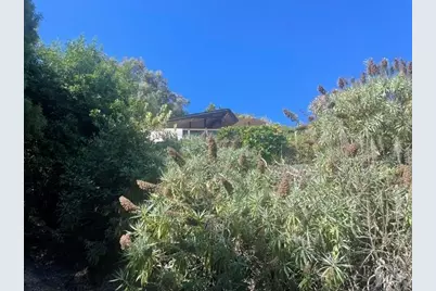 3330 Paradise Drive, Tiburon, CA 94920 - Photo 5