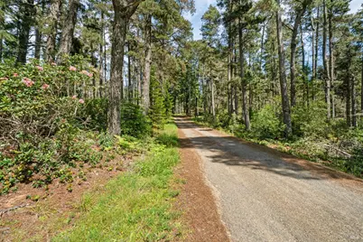 24680 Ten Mile Road, Point Arena, CA 95468 - Photo 15