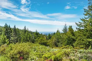 24680 Ten Mile Rd, Point Arena, CA 95468 - Photo 19
