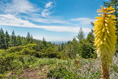 24680 Ten Mile Road, Point Arena, CA 95468 - Photo 15
