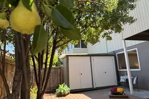 1056 Los Gamos Rd, San Rafael, CA 94903 - Photo 23