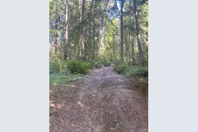 29500 Albion Ridge Road, Albion, CA 95410 - Photo 3