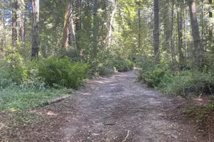 29500 Albion Ridge Rd, Albion, CA 95410 - Photo 3