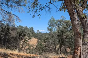 1480 Kenyon Dr, Redding, CA 96001 - Photo 9