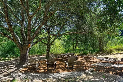 920 Wagnon Road, Sebastopol, CA 95472 - Photo 5