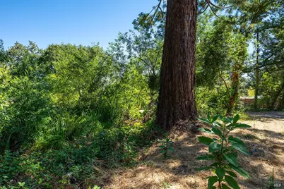 2755 Dyer Avenue, Sebastopol, CA 95472 - Photo 39