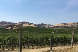 1680 Milton Rd, Napa, CA 94559 - Photo 33