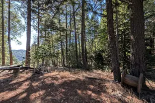 3955 Blackhawk Dr, Willits, CA 95490 - Photo 5