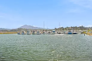 29 Dorian Way, San Rafael, CA 94901 - Photo 95