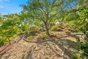 29 Dorian Way, San Rafael, CA 94901 - Photo 91