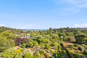 29 Dorian Way, San Rafael, CA 94901 - Photo 23
