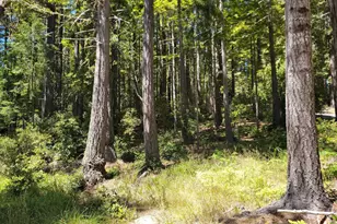 35136 Timber Ridge Rd, The Sea Ranch, CA 95497 - Photo 1