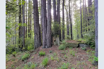 35136 Timber Ridge Road, The Sea Ranch, CA 95497 - Photo 15
