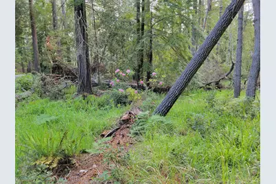 35136 Timber Ridge Road, The Sea Ranch, CA 95497 - Photo 7