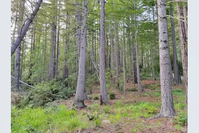 35136 Timber Ridge Road, The Sea Ranch, CA 95497 - Photo 21