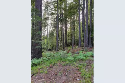 35136 Timber Ridge Road, The Sea Ranch, CA 95497 - Photo 19