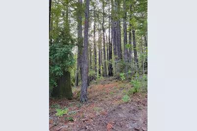 35136 Timber Ridge Road, The Sea Ranch, CA 95497 - Photo 17