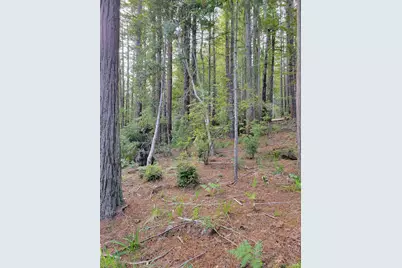 35136 Timber Ridge Road, The Sea Ranch, CA 95497 - Photo 27